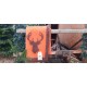 Blanket Deer
